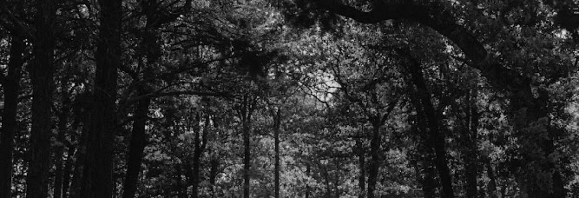 Alexandrea Delgado Photography