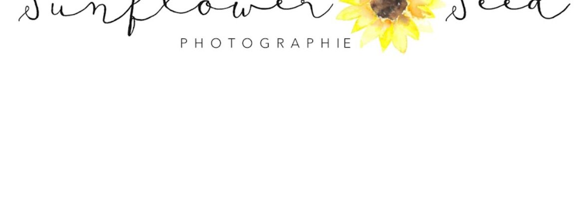 SunFlower Seed {photographie}