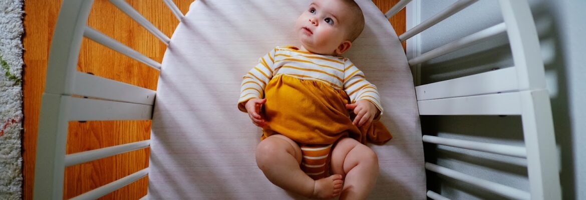 Marjorie Cohen Photography