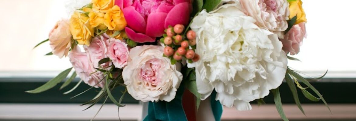 Anna Paschal Photography