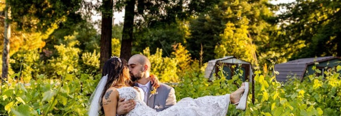 Kathryn Mitchell Photography