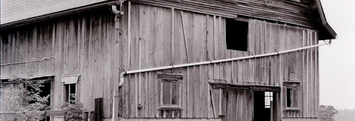 RG Insights Photography