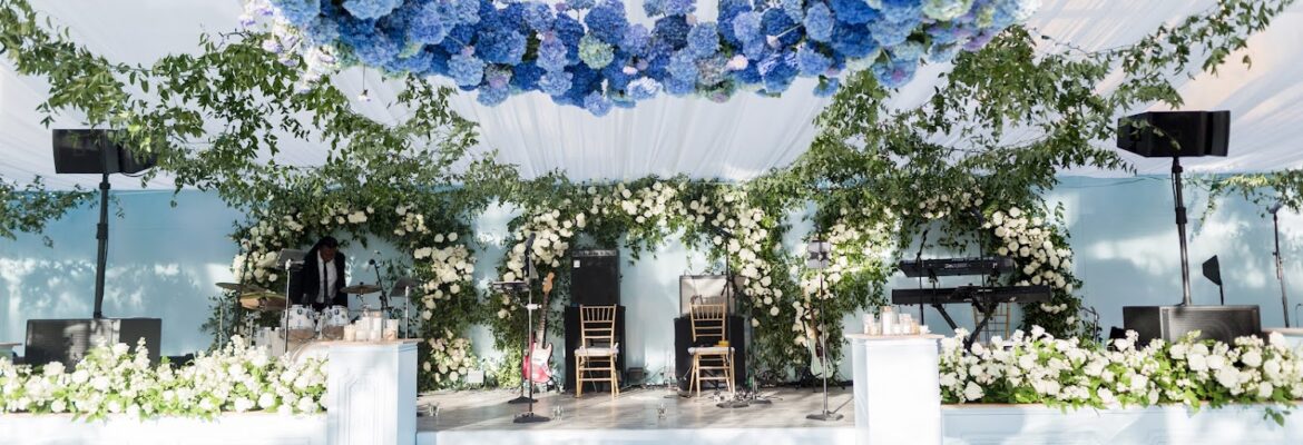 Ariana Nicole Photography