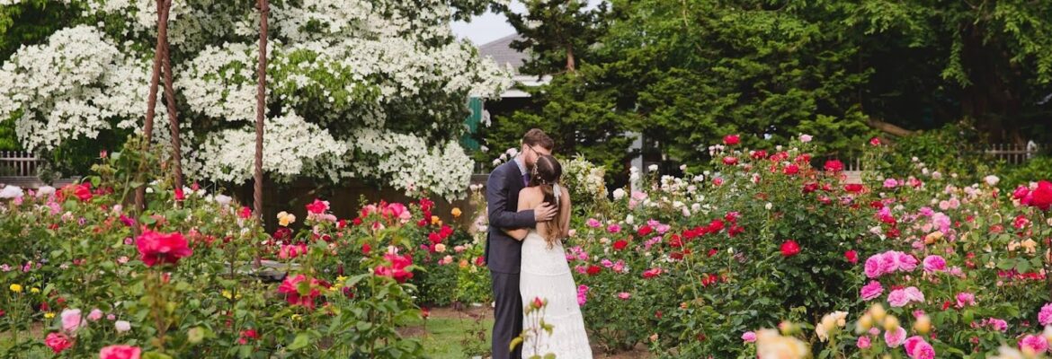 Brett Alison Photography