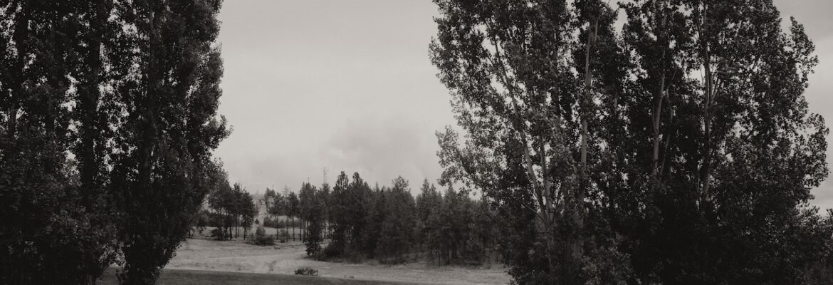 Kylie Morgan Photography