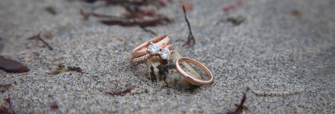 Therese Iacono Photography