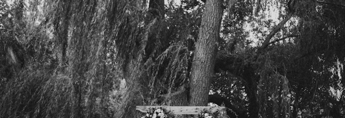 LICHTER PHOTOGRAPHY LLC