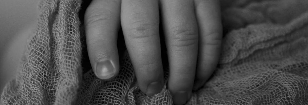 Whitney Thomas Photography