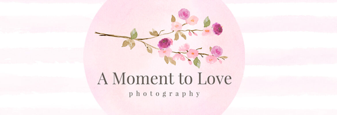 A Moment to Love Photography LLC