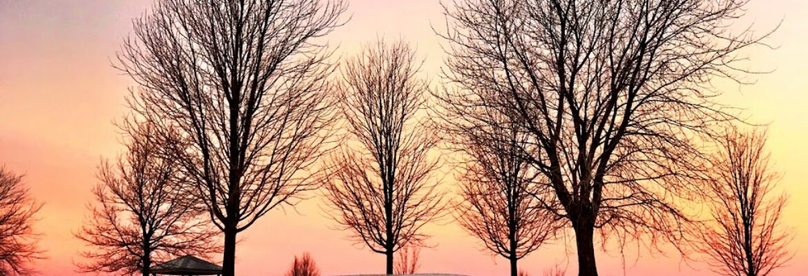 Dawn Bergeron Photography