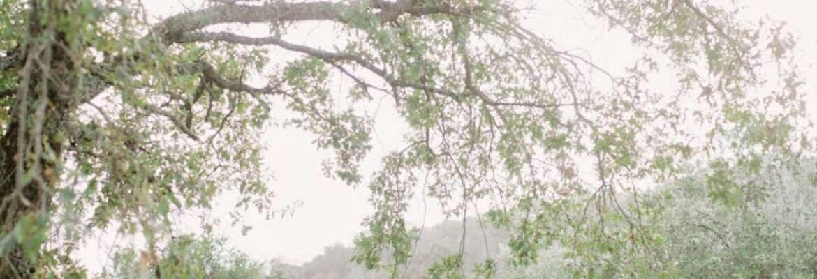 This Love of Yours Photography