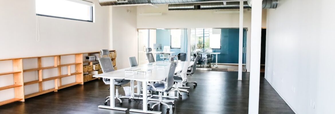 The Shine Studio with Anna Laura Sommer