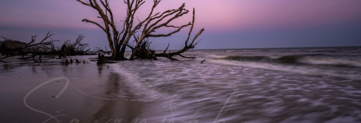 Savannah River Photography LLC