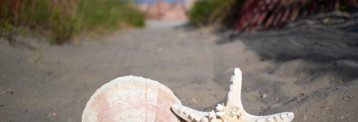 Photography Unlimited by Eileen