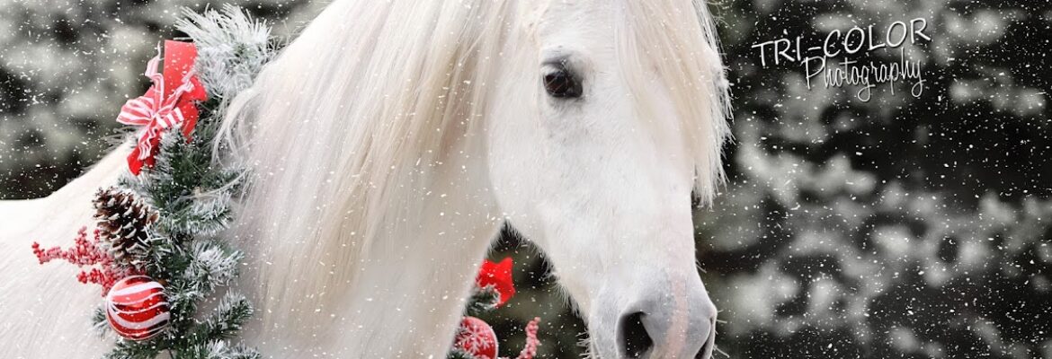 Tri-Color Photography