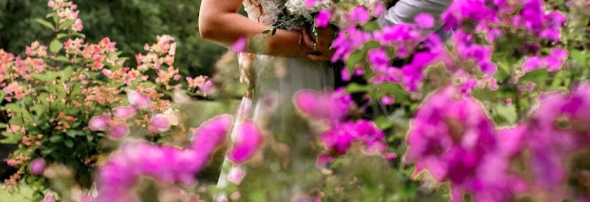 Shuttered Dreams Photography