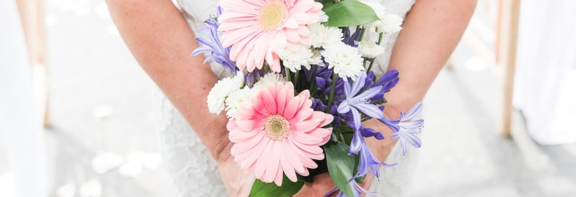 Darlene Joyce Photography