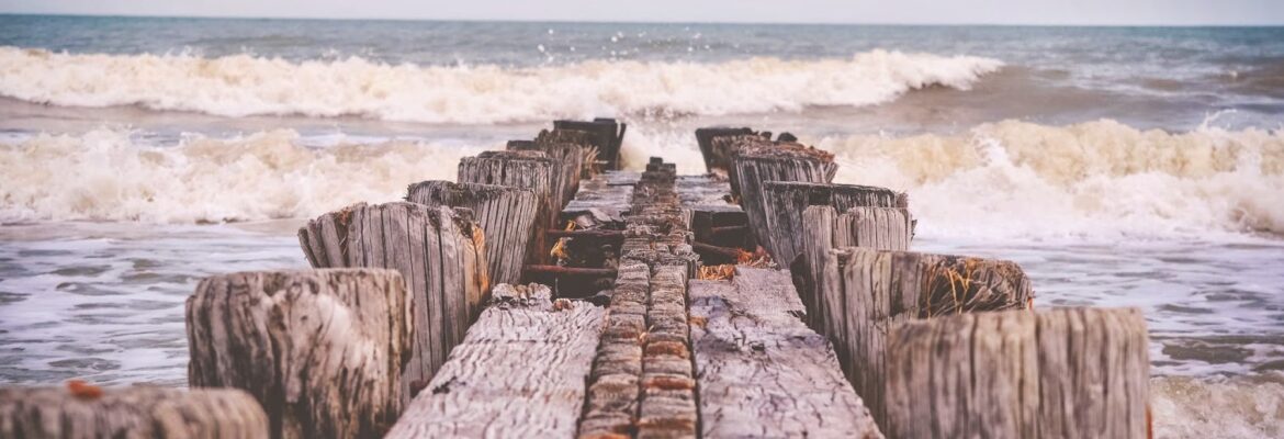 Rebecca Guthrie Photography