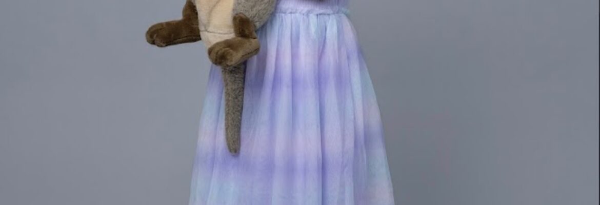 C Rollock Photography, Inc.