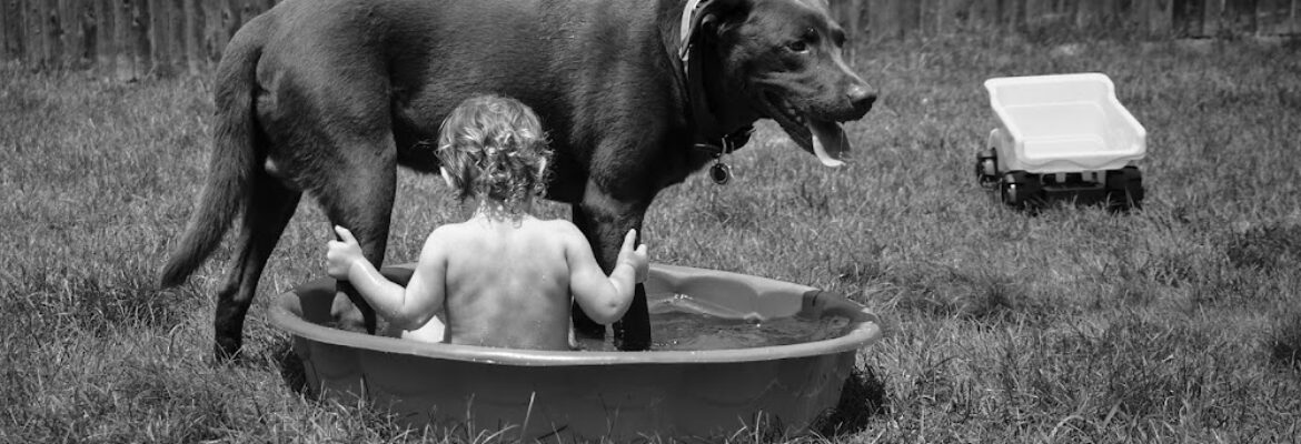 Studio DUDA Photography