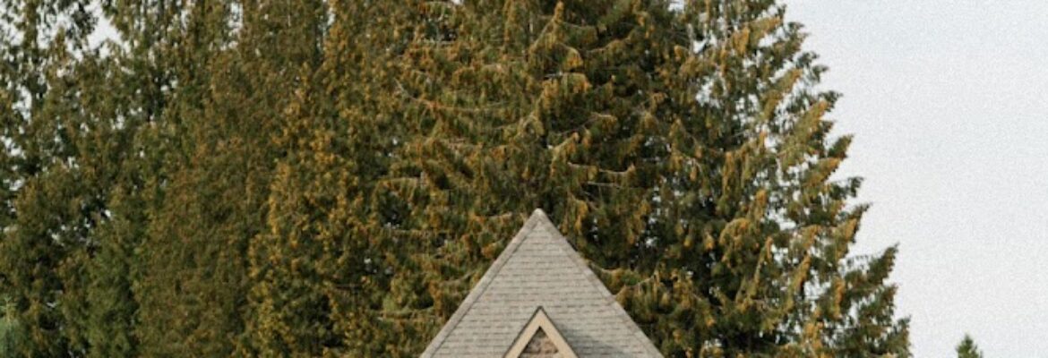 Auburn Photography/ Portland Wedding Photographer