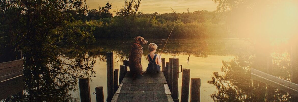 Garon Photo & Cinema