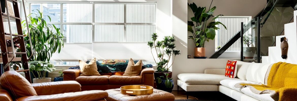 Shannon Kelli Pictures