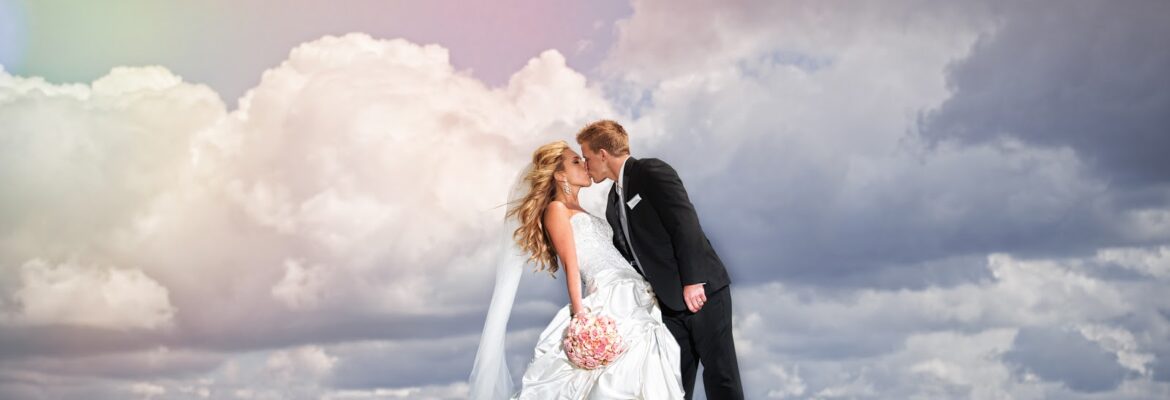 Nobach Creative LLC.