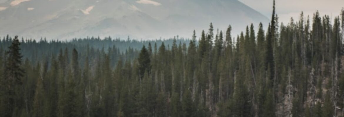 Mark Steinlein Wedding Photography