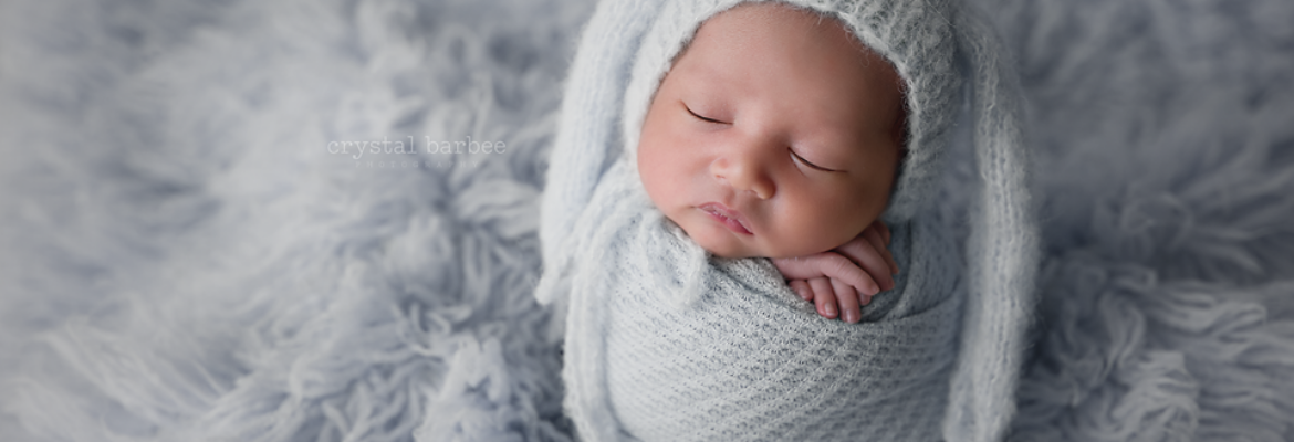 Crystal Barbee Photography