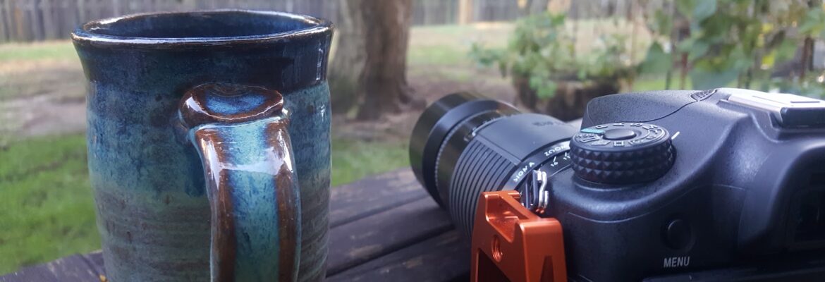 Cunning Fox Photography