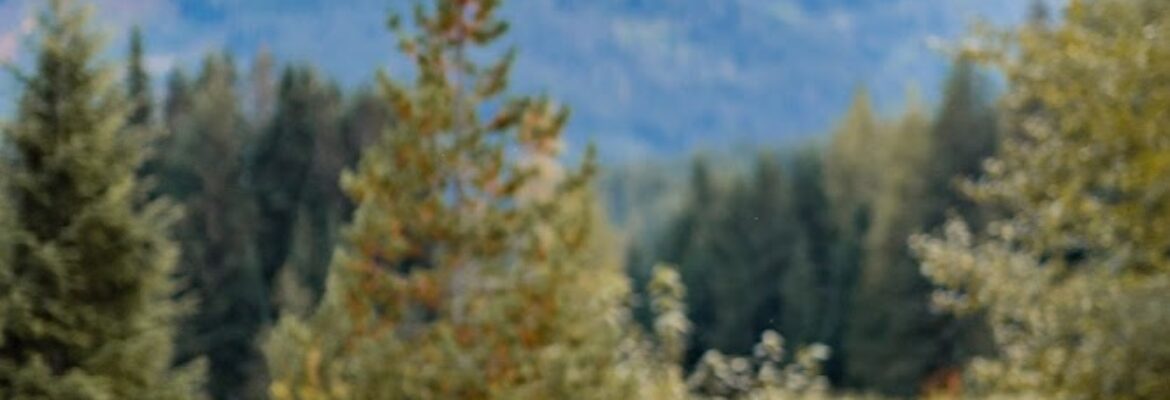 Sioned Abuan Photography