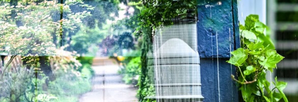Elle Hygge Photography