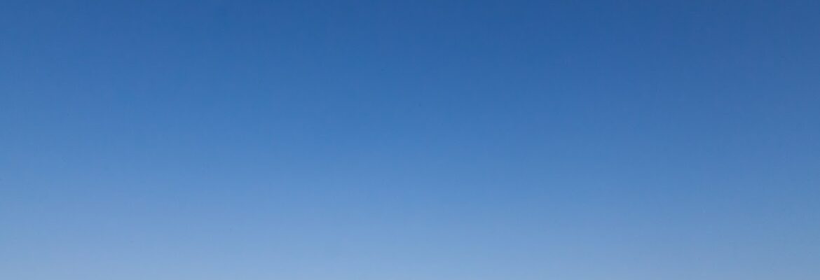 Allen Park Family Photo