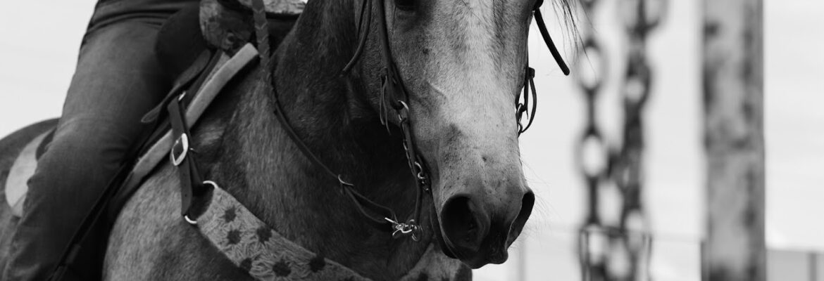 Addicted Photography, LLC