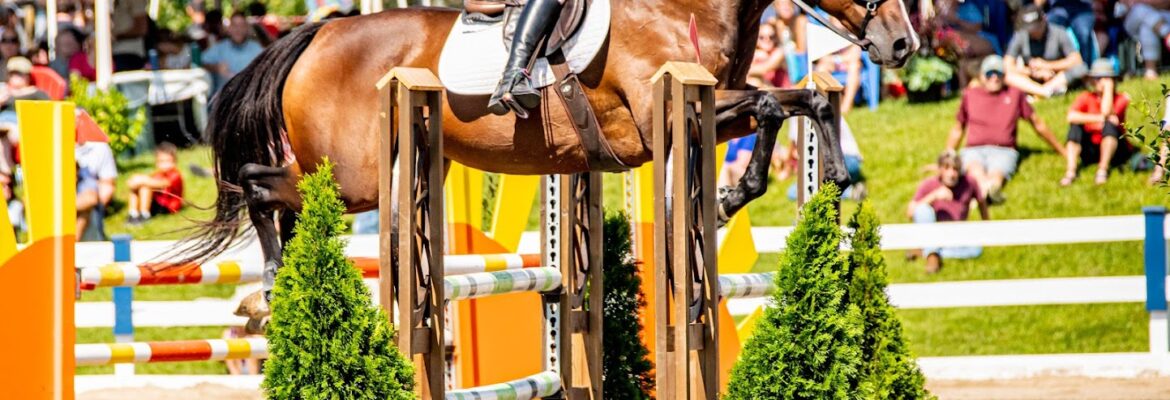 Alyssa Murphree Media