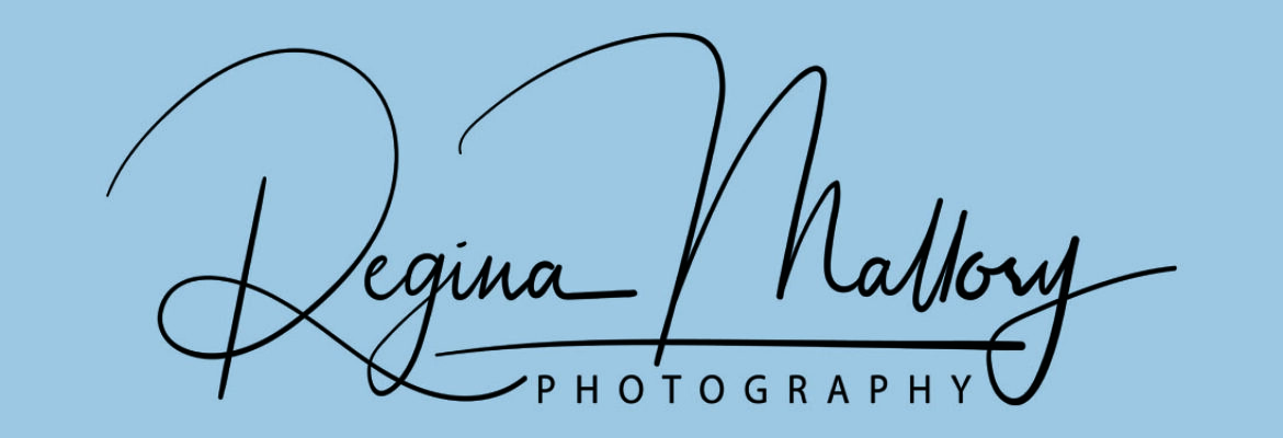 Regina Mallory Real Estate Photography