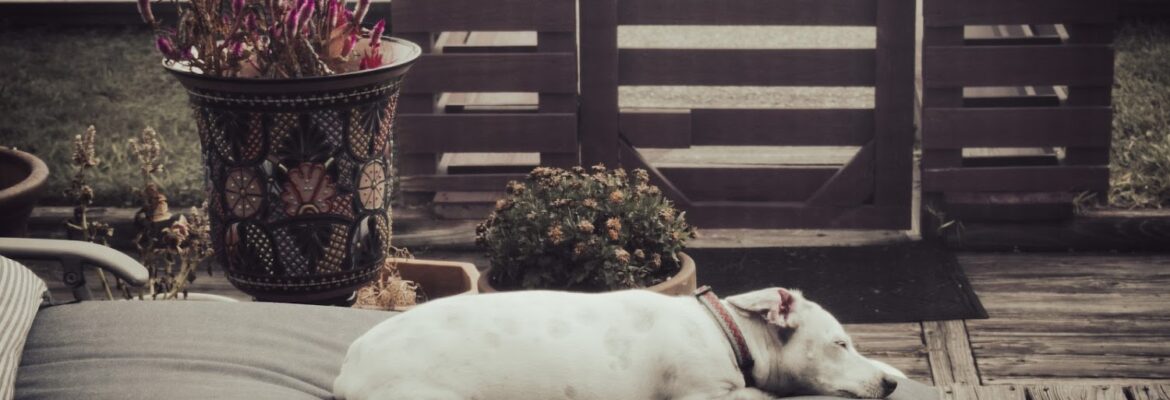 Axiom Digital Promotions