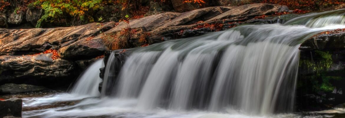 Mark Morrow Photography