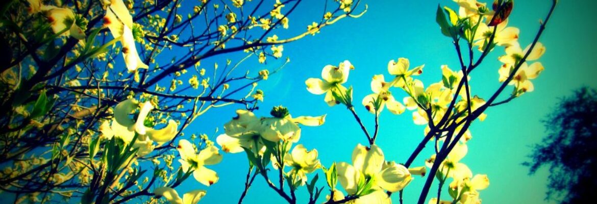 Raw Exposure by Melia Nicole