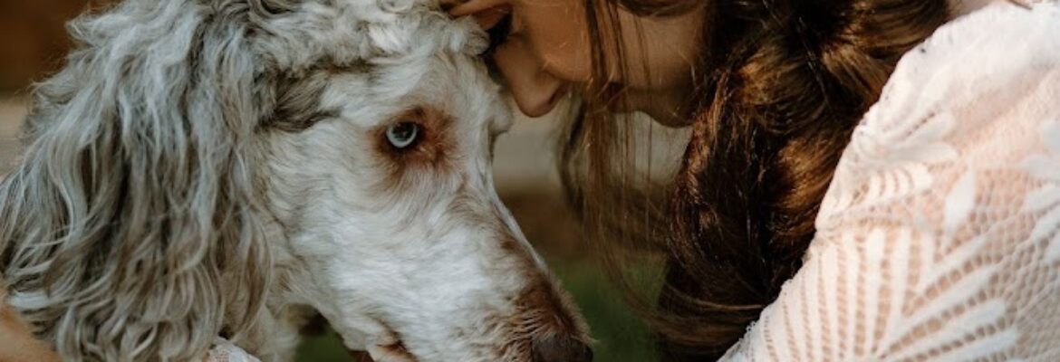 Bri Hines Photography