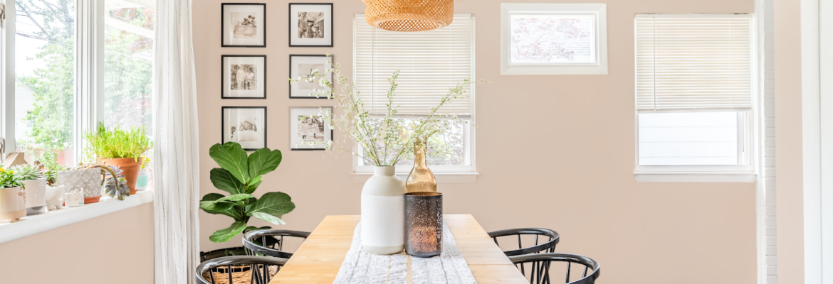 Albatross Real Estate Media