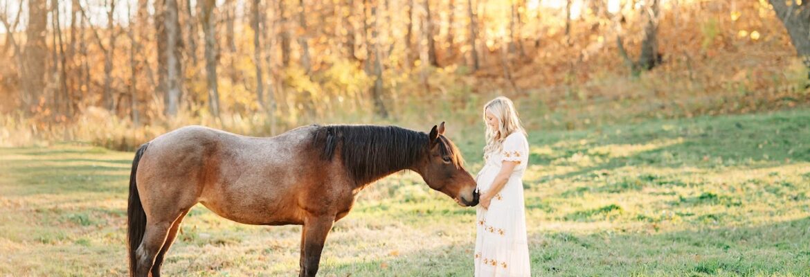 Amber Langerud Photography