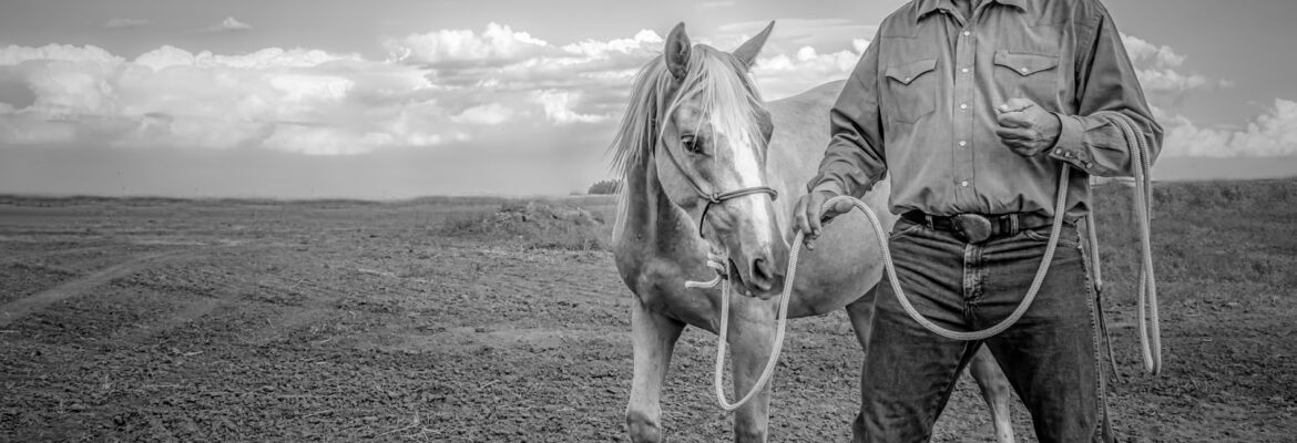 Cornelius Matteo Photography