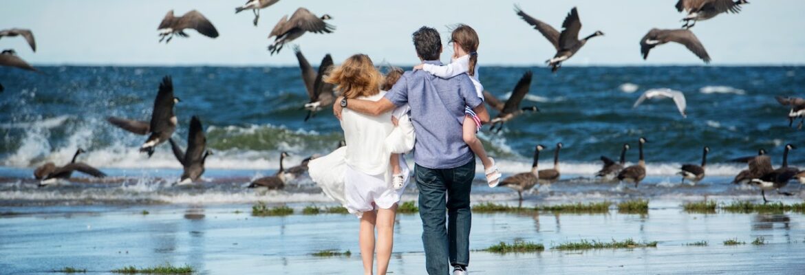 Heidi Hodges Photography