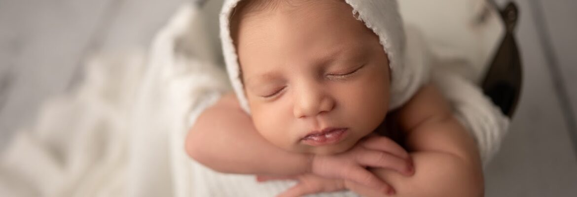 Little Fox Photography