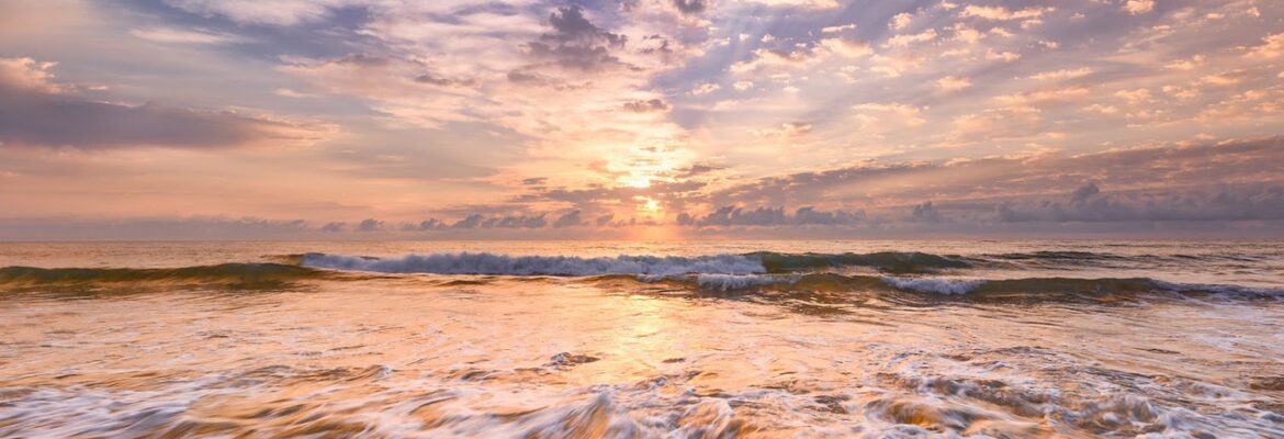 Deborah Sandidge Photography