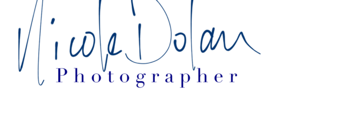 Nicole Dolan Photographer