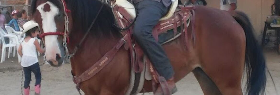 Studio 13 Photography