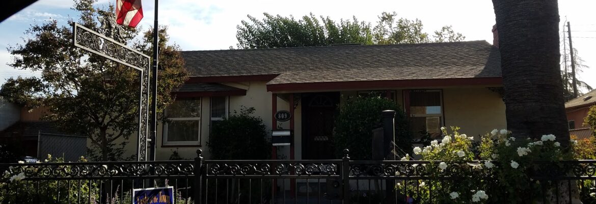 Blossom Trail Photography